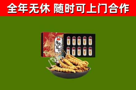 韶关市回收冬虫夏草价格